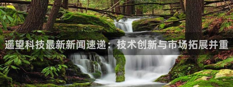 遥望科技最新新闻速递：技术创新与市场拓展并重