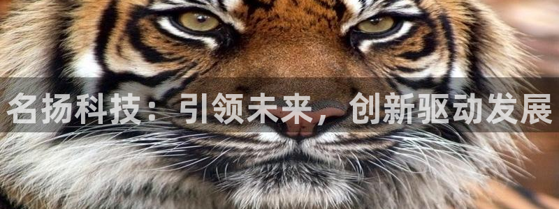 名扬科技：引领未来，创新驱动发展