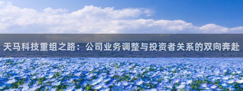 天马科技重组之路：公司业务调整与投资者关系的双向奔赴
