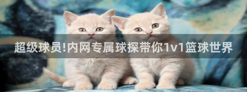 超级球员!内网专属球探带你1v1篮球世界