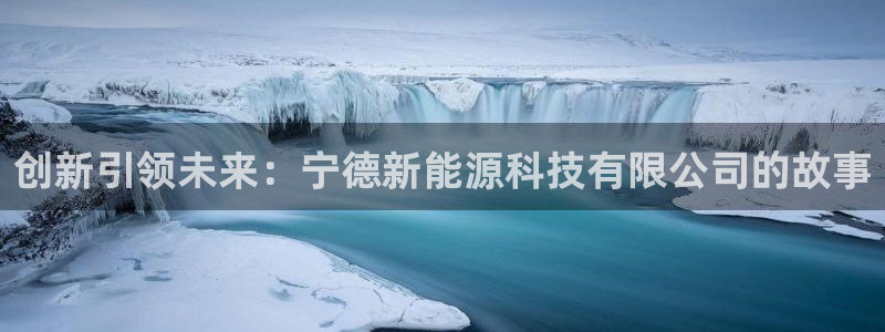 创新引领未来：宁德新能源科技有限公司的故事