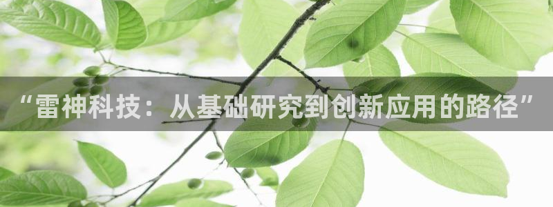 “雷神科技：从基础研究到创新应用的路径”