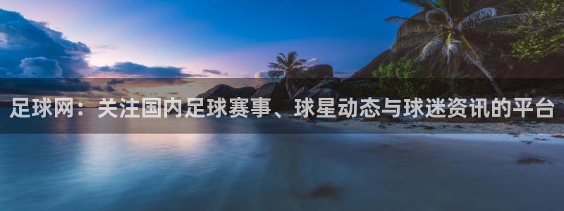 足球网：关注国内足球赛事、球星动态与球迷资讯的平台