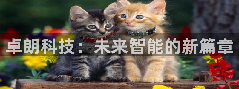 卓朗科技：未来智能的新篇章