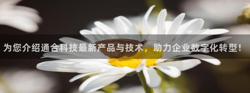 为您介绍通合科技最新产品与技术，助力企业数字化转型！