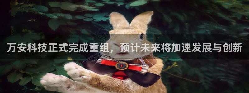万安科技正式完成重组，预计未来将加速发展与创新