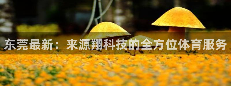 东莞最新：来源翔科技的全方位体育服务
