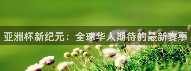 亚洲杯新纪元：全球华人期待的最新赛事