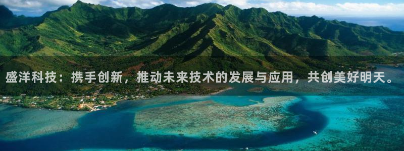 盛洋科技：携手创新，推动未来技术的发展与应用，共创美好明天。
