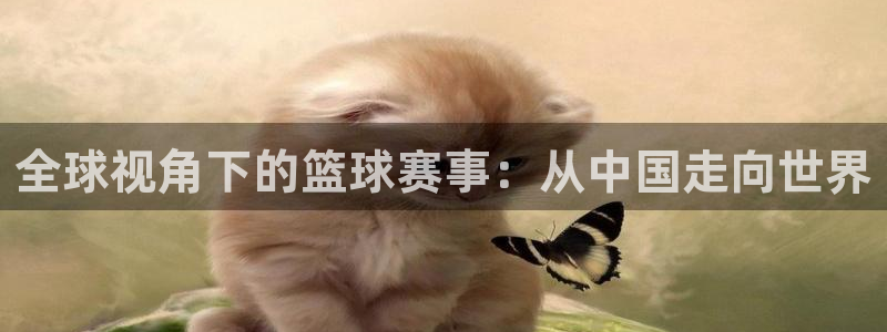 全球视角下的篮球赛事：从中国走向世界