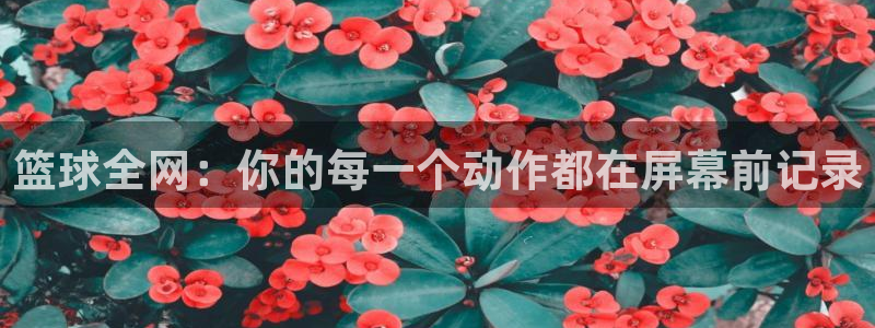 篮球全网：你的每一个动作都在屏幕前记录
