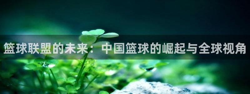 篮球联盟的未来：中国篮球的崛起与全球视角