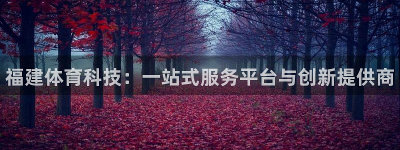 福建体育科技：一站式服务平台与创新提供商