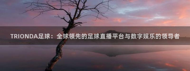 TRIONDA足球：全球领先的足球直播平台与数字娱乐的领导者