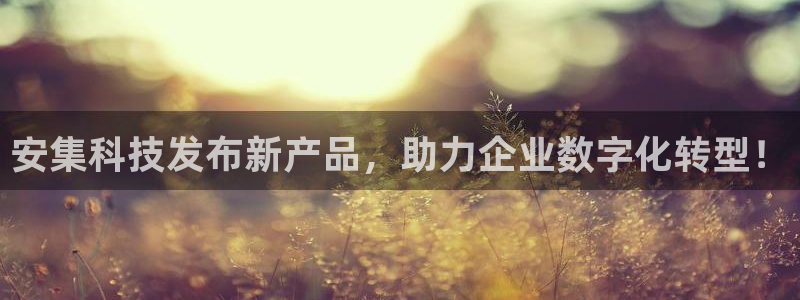 安集科技发布新产品，助力企业数字化转型！