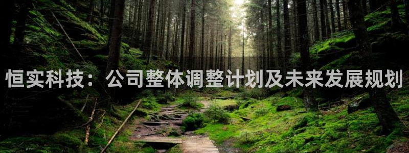 恒实科技：公司整体调整计划及未来发展规划