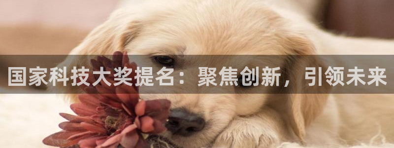 国家科技大奖提名：聚焦创新，引领未来