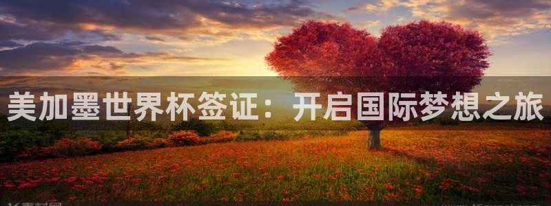 美加墨世界杯签证：开启国际梦想之旅