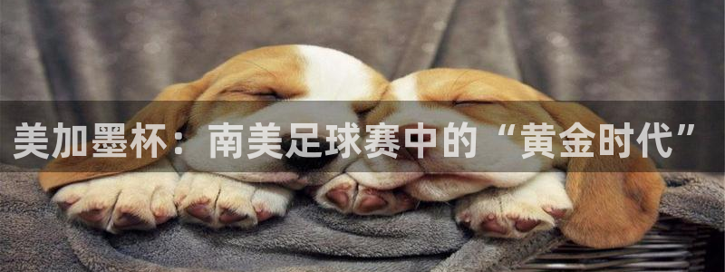 美加墨杯：南美足球赛中的“黄金时代”