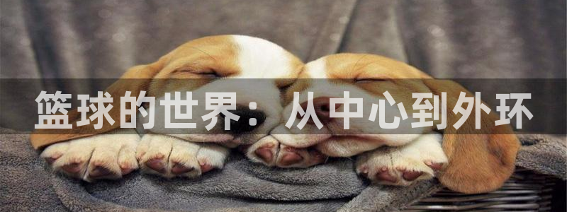 篮球的世界：从中心到外环